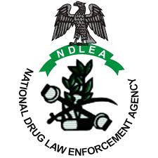 NDLEA1